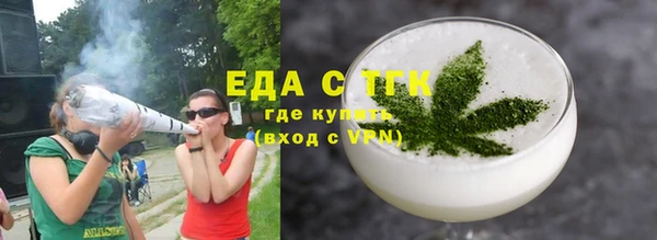 шишки Ельня